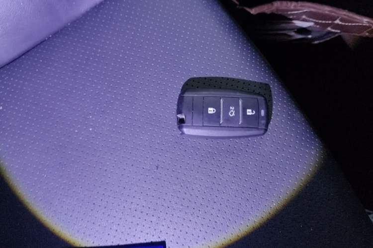 Used CHANGAN Ruicheng CC 2021 Blue Whale Edition 1.5T DCT Prestige Model
