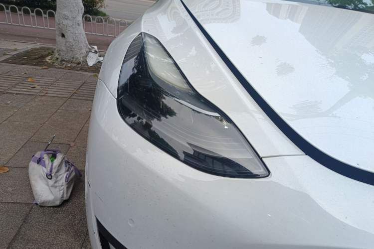 Used Tesla Model Y 2022 Rear-Wheel-Drive Version
