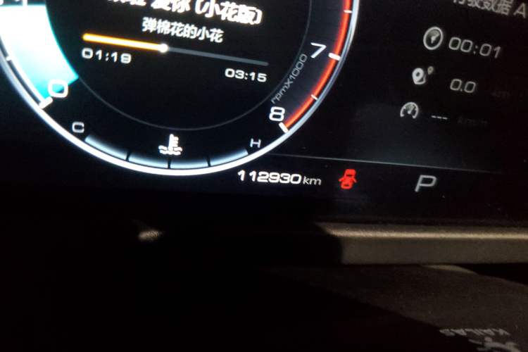 Used Tank 300 2021 Off-Road Edition 2.0T Conqueror Odometer Close Up