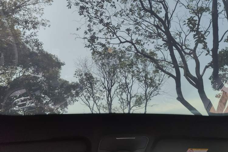 Used smart #3 2023 Pulse Four-Wheel Drive Edition Headliner