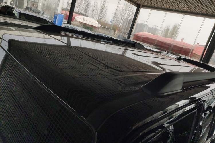 Used Tank 300 2024 2.0T Conqueror