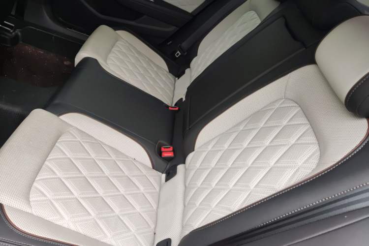 Used Volkswagen Magotan 2023 2 Million Units Commemorative Edition 330TSI DSG Luxury Version Left Rear Seat