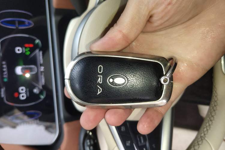 Used ORA Good Cat 2021 400km Standard Range Athena Edition Lithium Iron Phosphate