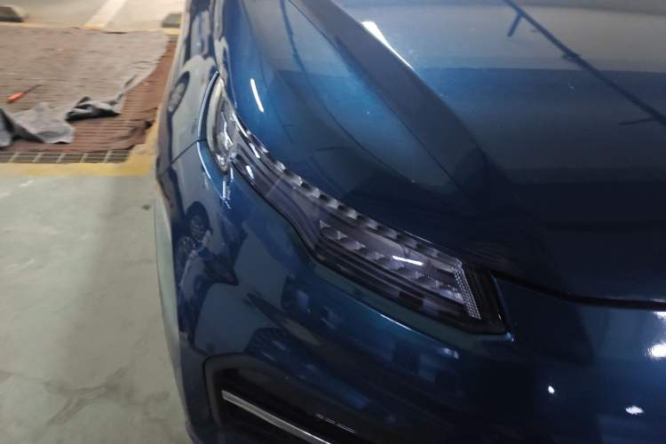 Used Dayun Yuehu 2022 30.66 kWh Two-Wheel Drive Standard Version