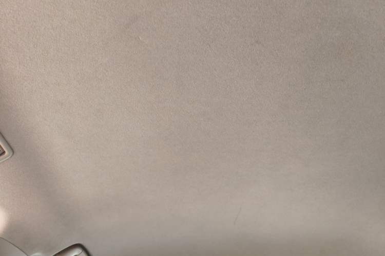 Used Toyota Prado 2010 4.0L Automatic TX Headliner