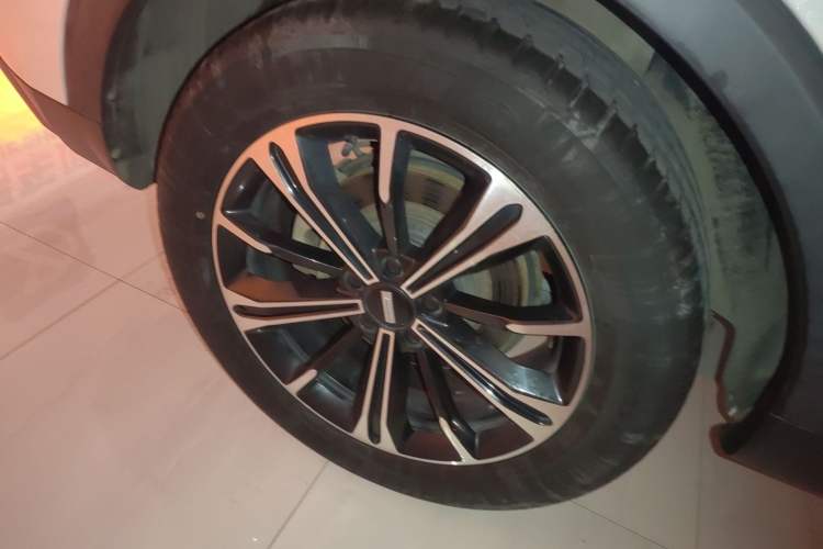 Used Wey VV6 2021 2.0T Two-Wheel Drive Smart Protection+