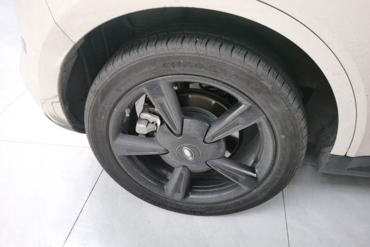 Used ORA Good Cat 2024 401 km Luxury Version