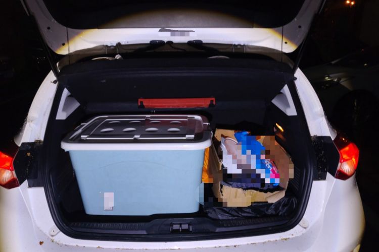 Used Ford Focus 2021 Hatchback EcoBoost 180 Automatic Titanium Edition