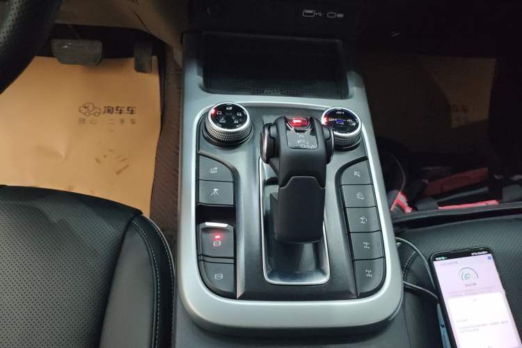 Used Tank 300 2024 2.0T Conqueror
