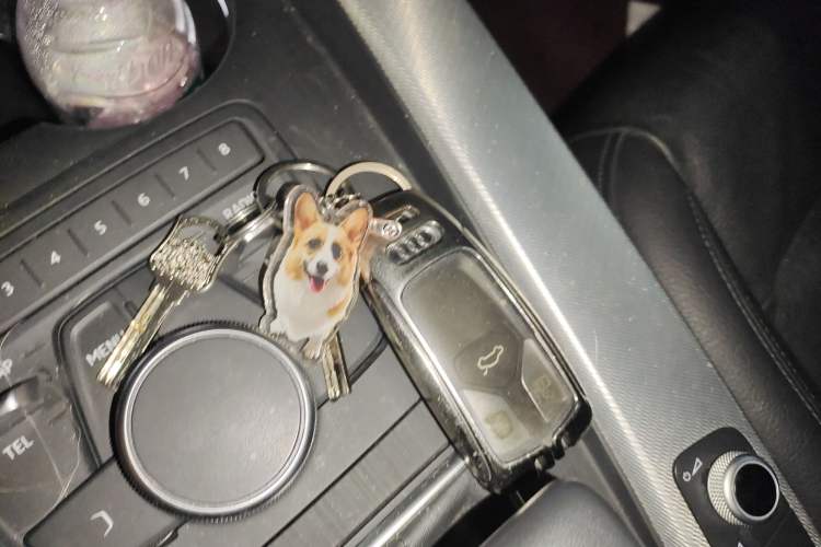 Used Audi A5 2017 Sportback 40 TFSI Fashion Model