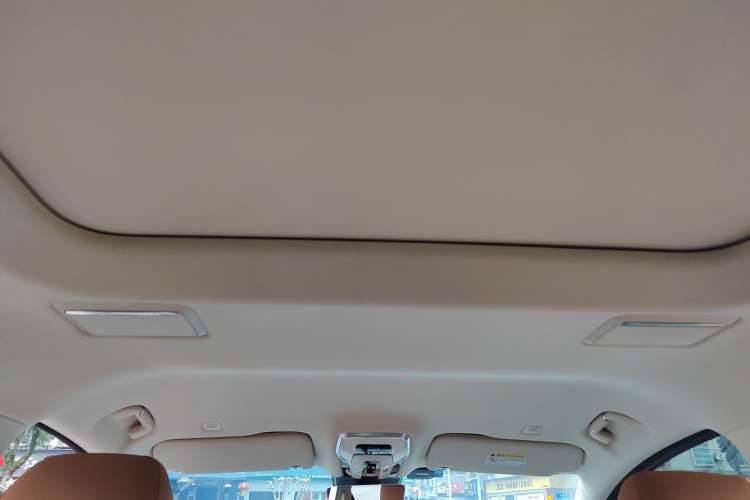 Used Hongqi HQ9 2023 2.0T Smart Connect Flagship Edition Headliner