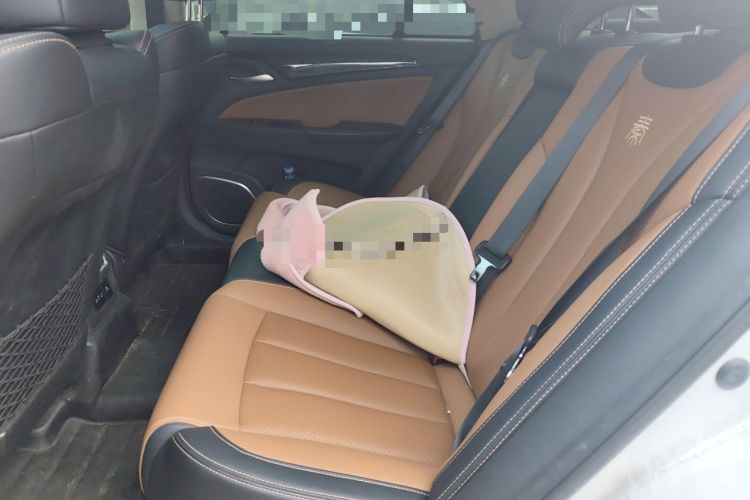 Used BYD Qin New Energy 2018 Qin EV450 Smart Connect Prestige Model
