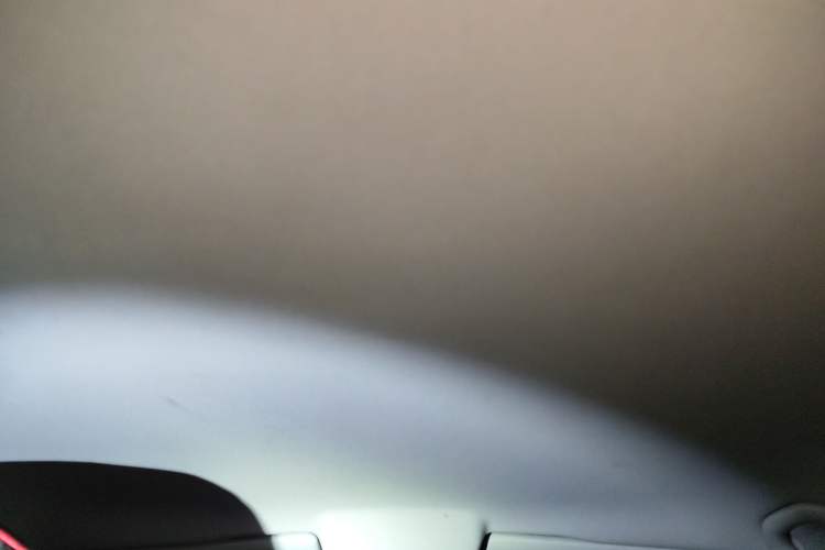 Used Volkswagen Polo 2018 1.5L Automatic Advanced Driving Model Headliner