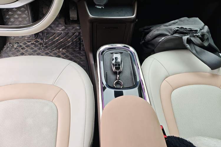 Used JAC Yiwei 3 2023 505km Pro+