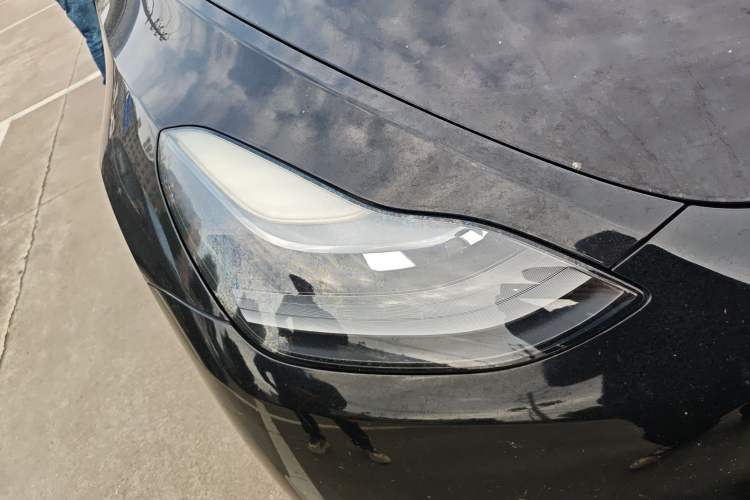 Used Tesla Model Y 2021 Standard Range Rear-Wheel Drive Version