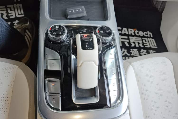 Used Cyberspace Tank 300 2021 2.0T Cyber Tank