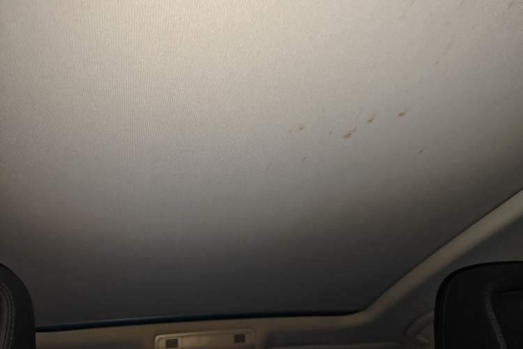 Used Volkswagen Magotan 2018 330TSI DSG Luxury Model
