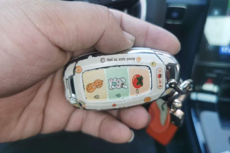 Used Hyundai Custo 2021 380TGDi Smart Love Flagship Edition TOP Premium
