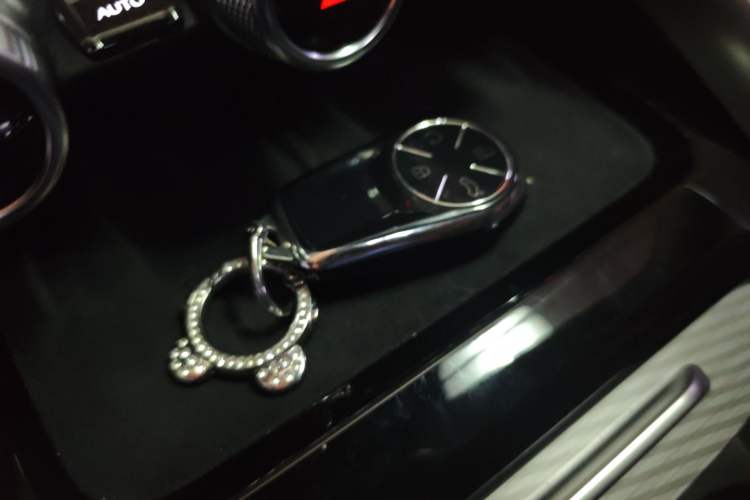 Used EXEED Lingyun 2025 300T Two-Wheel Drive Starry Edition