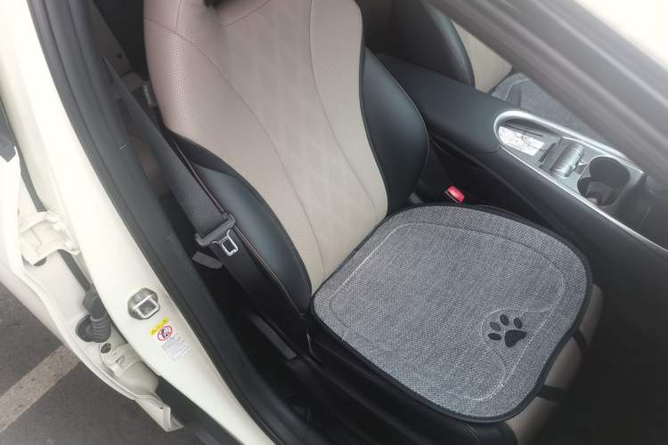 Used BYD Dolphin 2023 420 km Free Version Right Front Seat