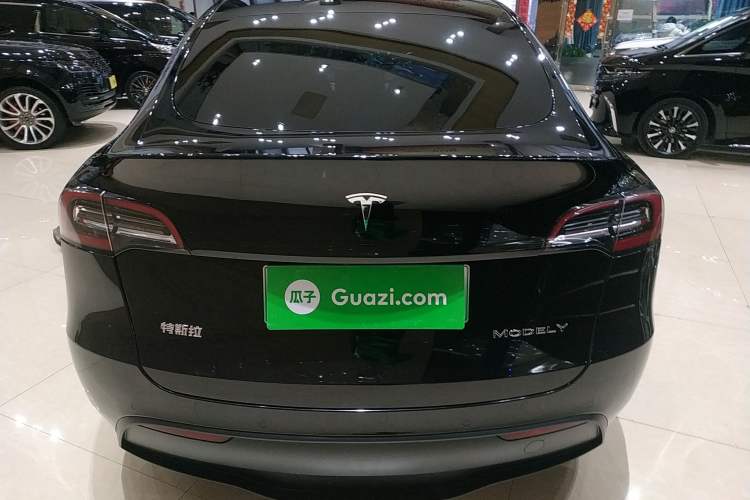 Used Tesla Model Y 2021 Standard Range Rear-Wheel Drive Version