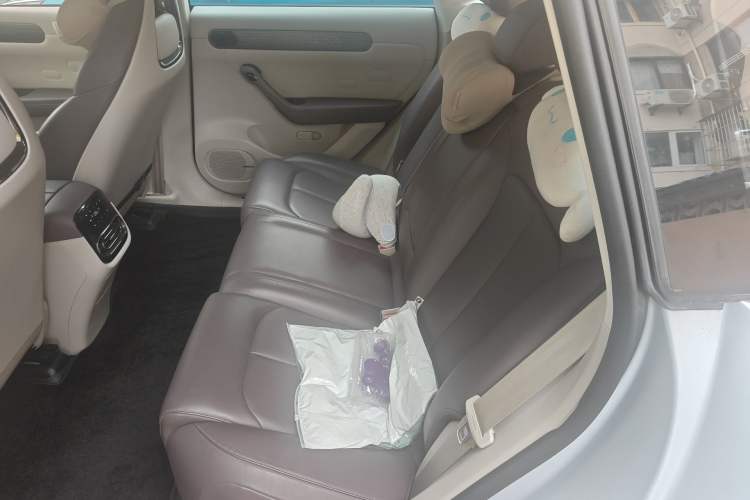 Used Leapmotor C11 2023 Pure Electric 500 Smart Edition