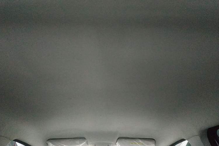 Used Leapmotor T03 2022 Agate Edition Headliner