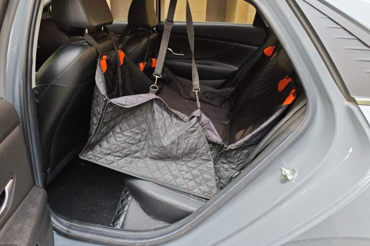 Used Hyundai Elantra 2021 1.5L CVT LUX Prestige Edition
