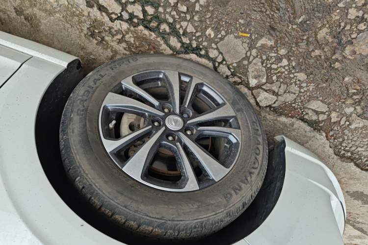 Used CHANGAN Eado 2020 PLUS 1.6L GDI Manual Luxury Model Exterior 4