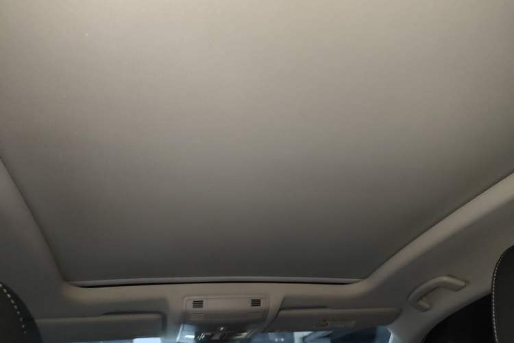 Used Volkswagen T-ROC 2020 280TSI DSG Two-Wheel Drive Comfort Version Headliner