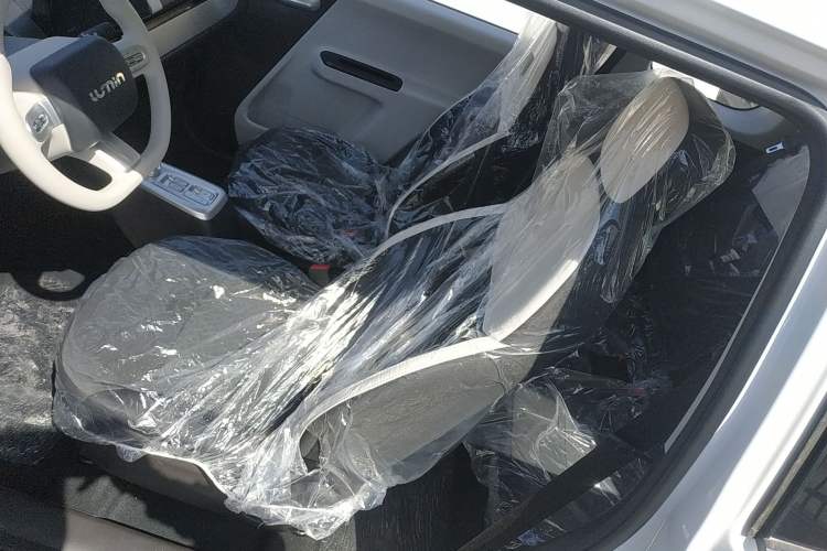 Used CHANGAN NEVO Lumin 2026 Model Treasure Edition 205km Passionate Beige Ningde Left Front Seat