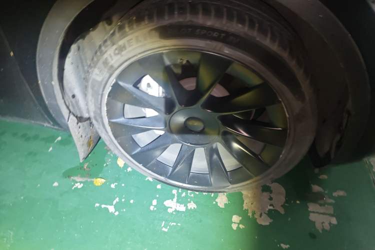 Used Tesla Model Y 2021 Standard Range Rear-Wheel Drive Version
