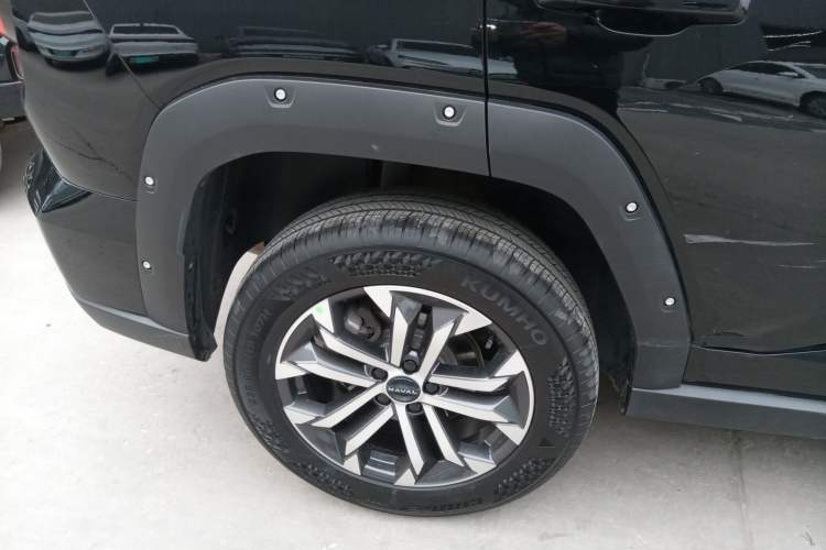 Used Haval H Dog 2023 2.0T Two-Wheel Drive Chaoye Version Plus