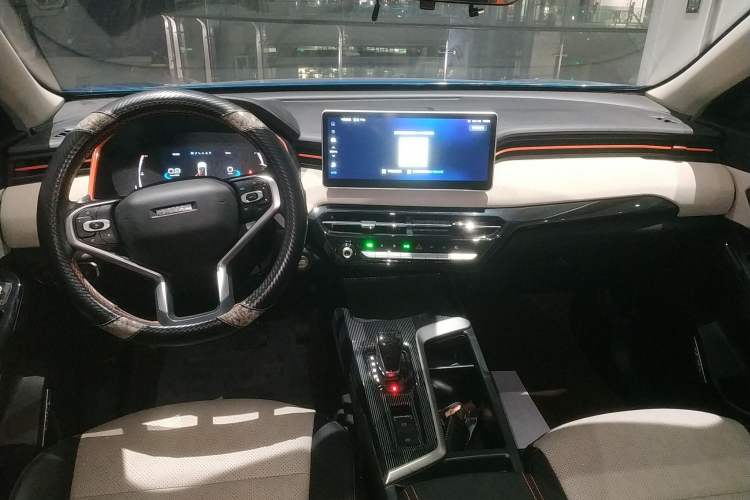 Used Haval LHERY 2021 High-Performance Version 1.5T Golden Rabbit