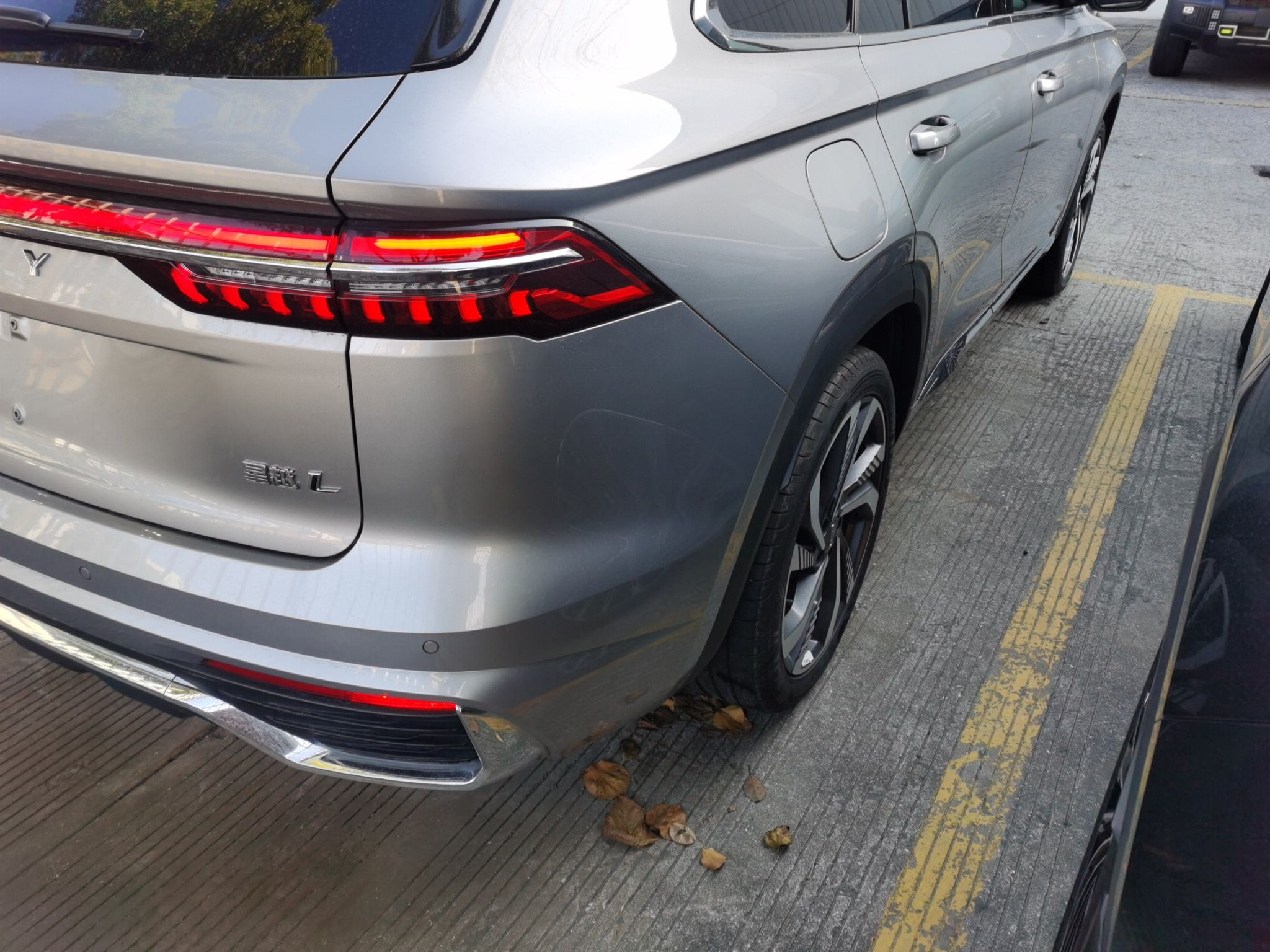 Geely Auto Monjaro L 2024 2.0TD High-Power Automatic Two-Wheel Drive Skyline Edition — снимка 9
