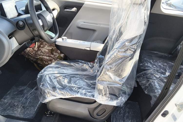 Used Qiyuan Lumin 2025 205 km Xiangqin Version
