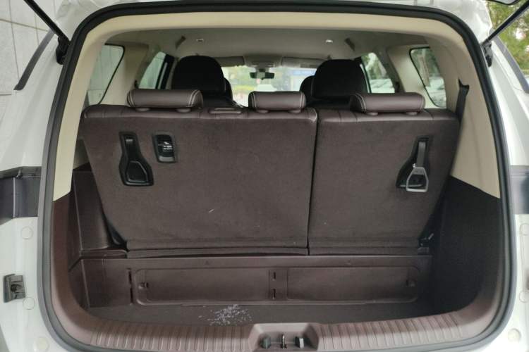 Used Livan Maple 80v L 2024 515 km Range 7 Seats