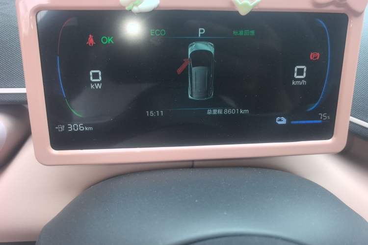 Used BYD Seagull 2025 405 km Flying Edition