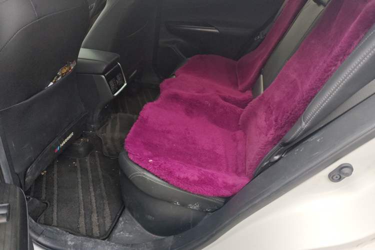 Used Toyota Harrier 2022 Dual-Engine 2.5L CVT Two-Wheel Drive Luxury Edition Left Rear Seat