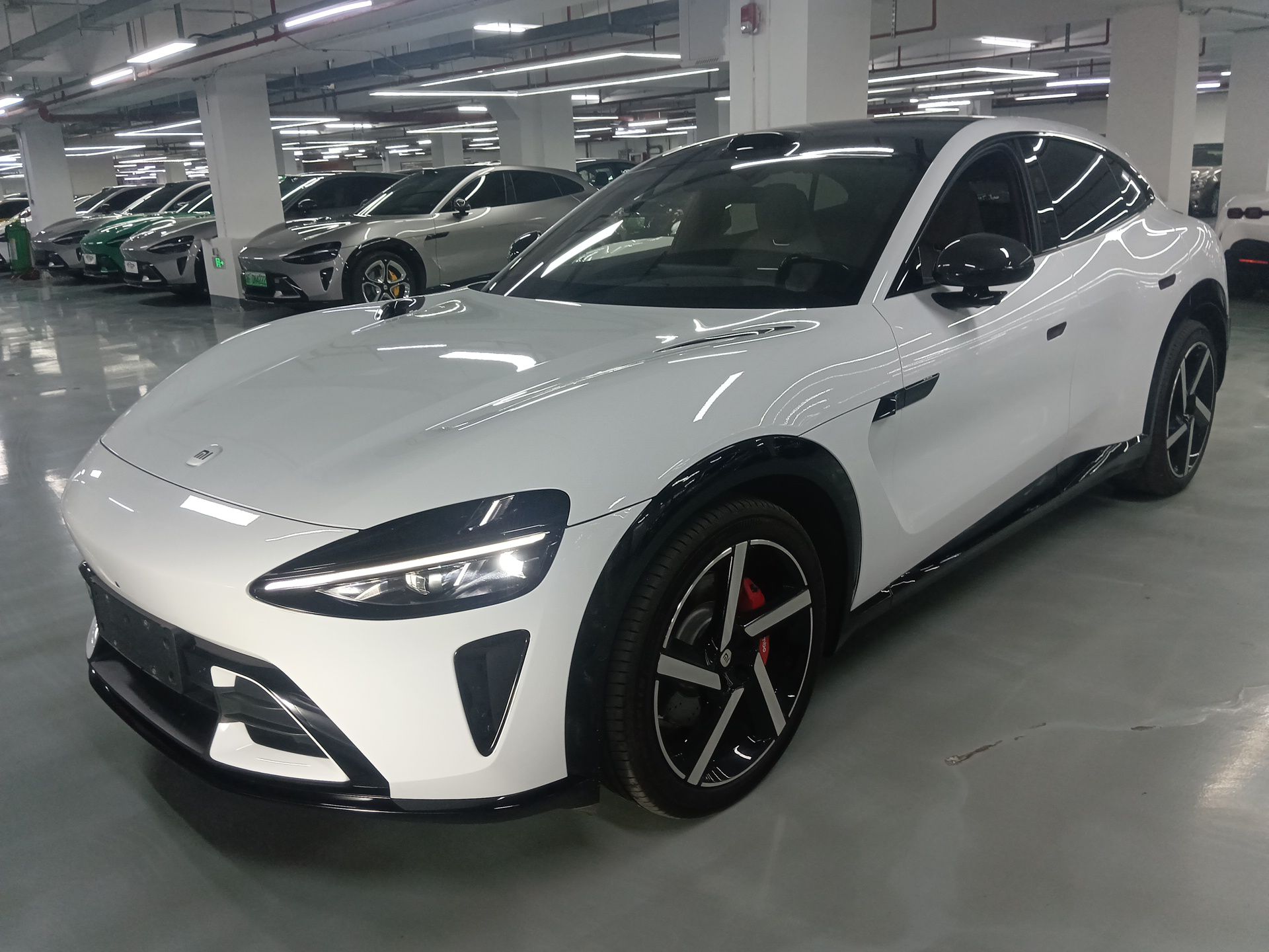 Parte inferior delantera