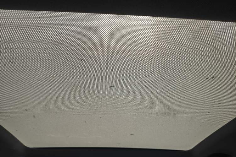 Used XPeng P5 2021 550G
