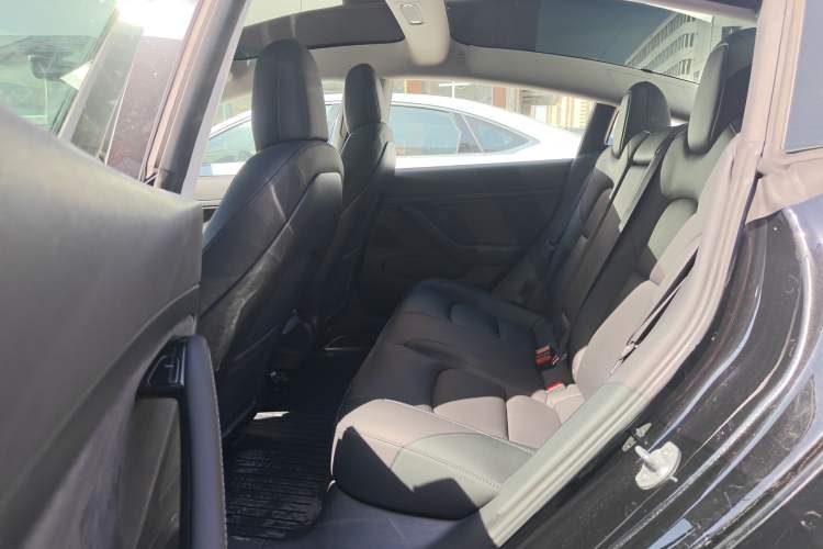 Used Tesla Model 3 2020 Revised Version Standard Range Rear-Wheel Drive – Upgraded Edition Left Rear Seat