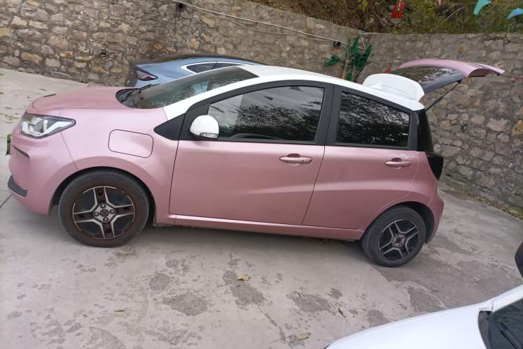 Used SOL E10X 2022 Flower Fairy Design Four-Leaf Clover