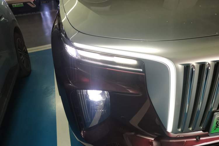 Used Hongqi E-HS9 2021 510 km Range Flagway Edition Six Seats Right Front Headlight