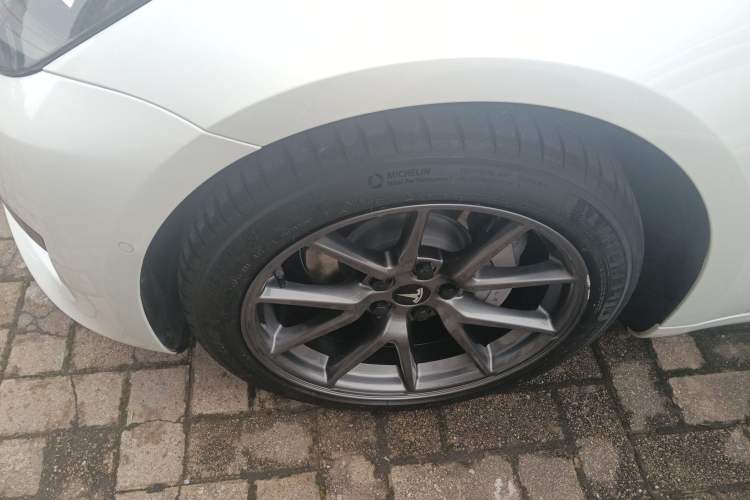 Used Tesla Model 3 2021 Standard Range Rear-Wheel Drive Upgraded Version 3D6
