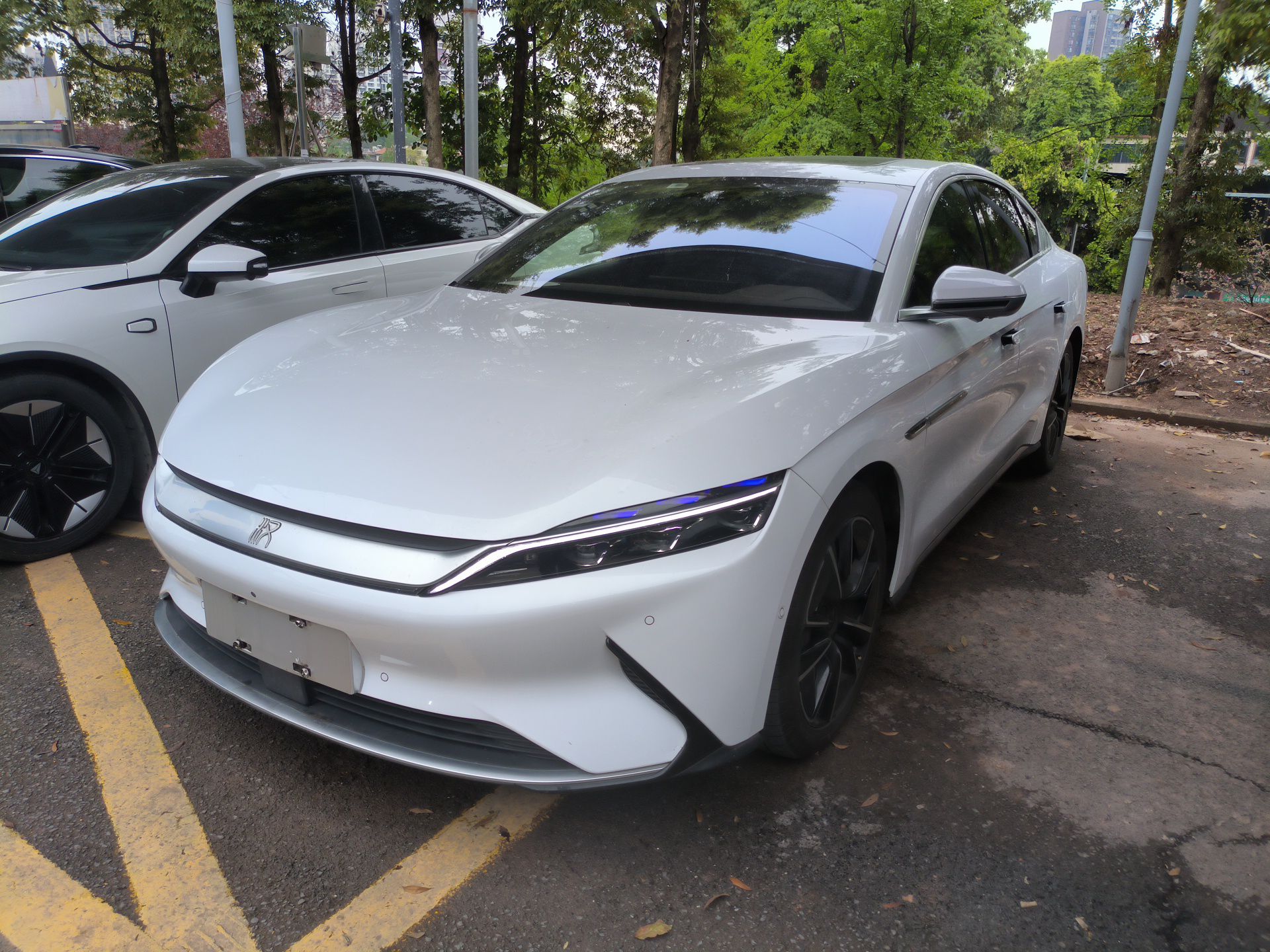 تحت مقدمة السيارة