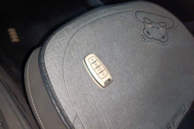 Used ORA White Cat 2022 Upgraded Model 305km Range Luxury Version Lithium-Ion Battery
