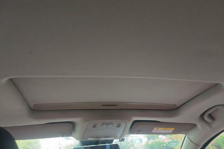 Used Buick Regal 2015 1.6T Elite Tech Model Headliner