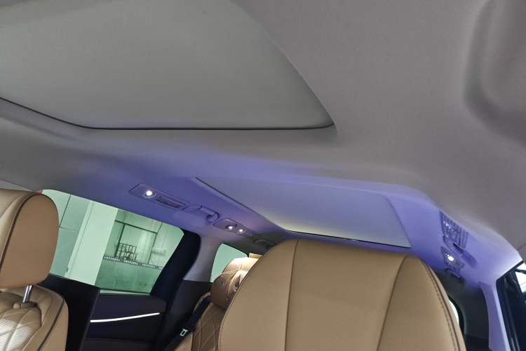 Used Denza D9 2022 DM-i 970 Four-Wheel Drive Prestige Model Headliner