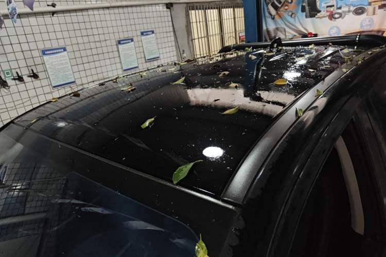 Used Great Wall Poer 2023 2.0T Commercial Version Automatic Diesel Two-Wheel Drive Elite Trim with Long Bed – GW4D20M